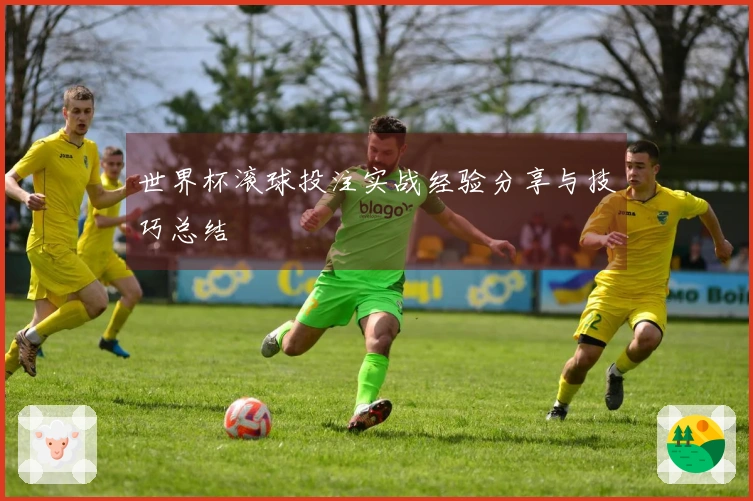 世界杯滚球投注实战经验分享与技巧总结