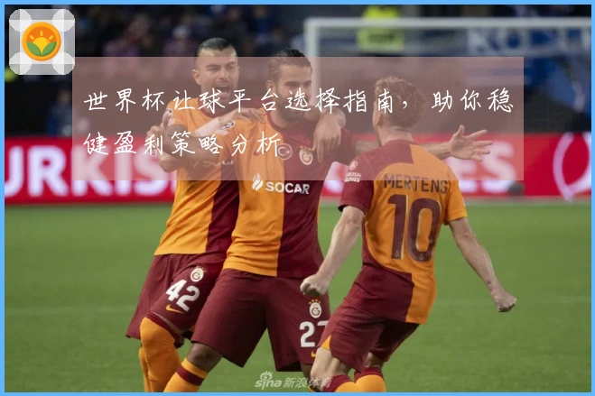 世界杯让球平台选择指南，助你稳健盈利策略分析
