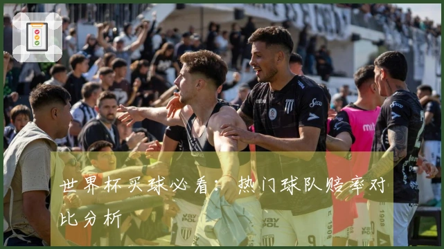 世界杯买球必看：热门球队赔率对比分析