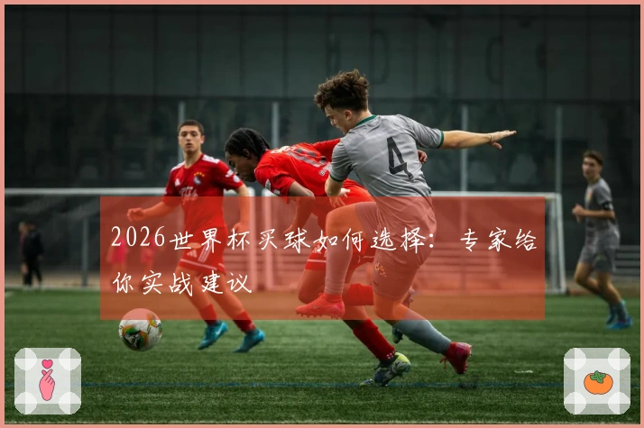 2026世界杯买球如何选择：专家给你实战建议