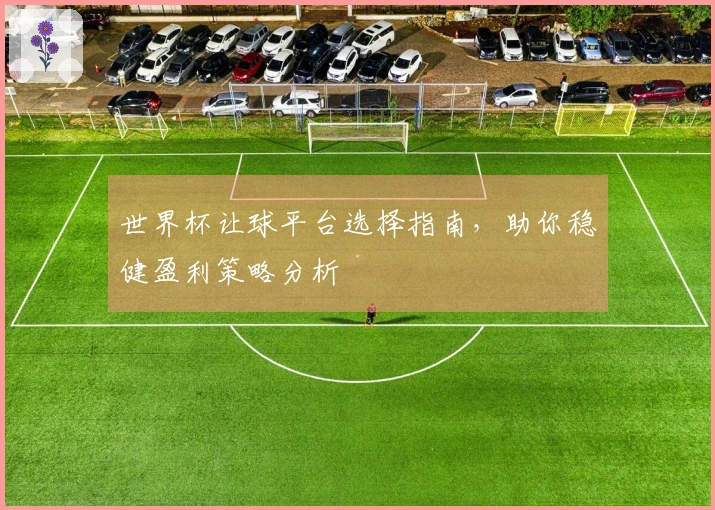 世界杯让球平台选择指南，助你稳健盈利策略分析