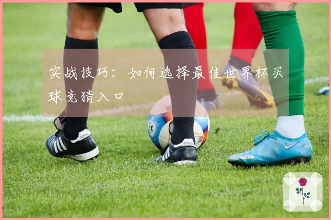实战技巧：如何选择最佳世界杯买球竞猜入口