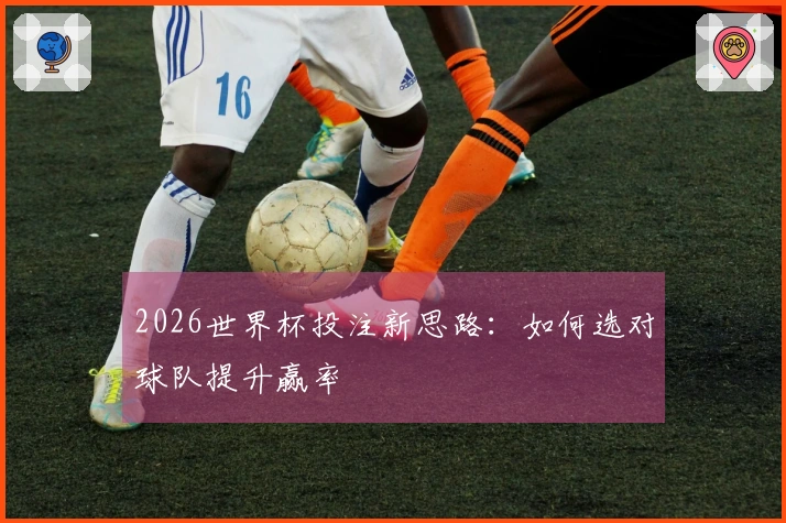 2026世界杯投注新思路：如何选对球队提升赢率