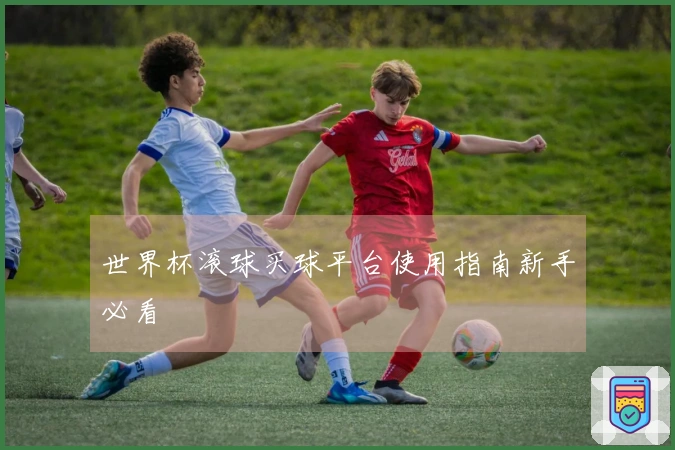 世界杯滚球买球平台使用指南新手必看