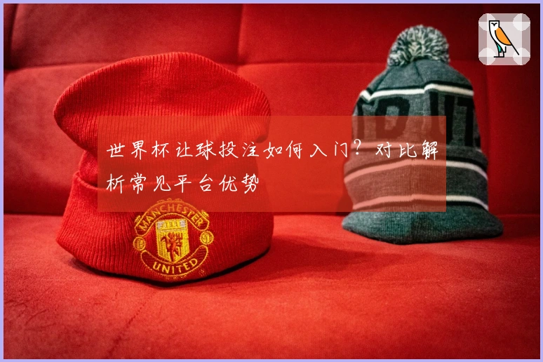 世界杯让球投注如何入门？对比解析常见平台优势