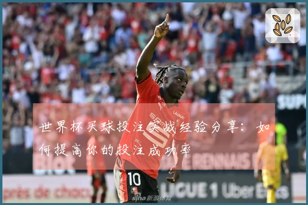 世界杯买球投注实战经验分享：如何提高你的投注成功率