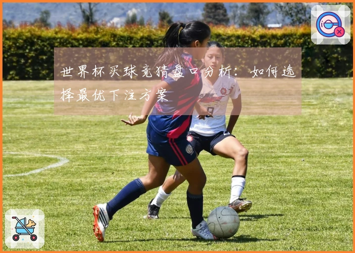 世界杯买球竞猜盘口分析：如何选择最优下注方案