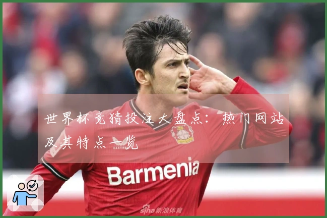世界杯竞猜投注大盘点：热门网站及其特点一览