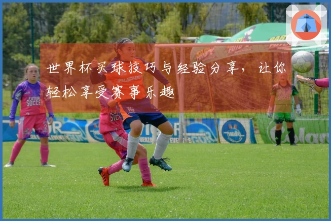 世界杯买球技巧与经验分享，让你轻松享受赛事乐趣