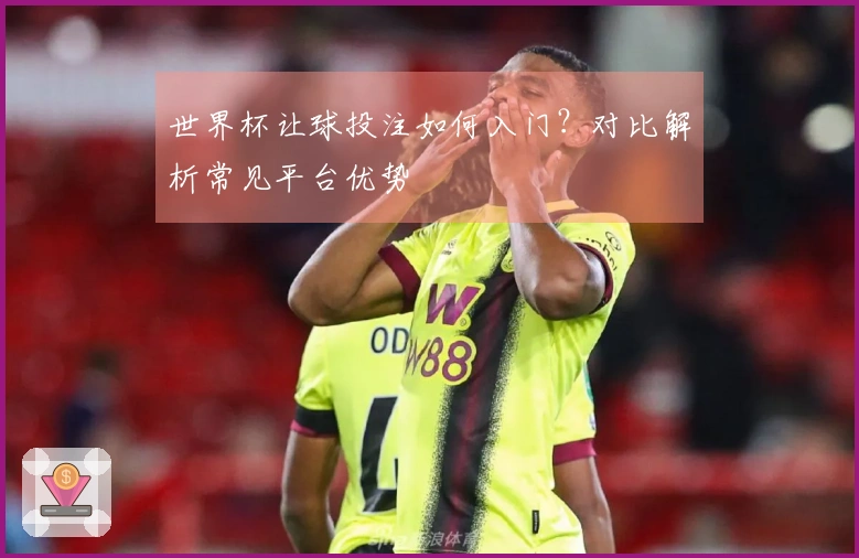 世界杯让球投注如何入门？对比解析常见平台优势