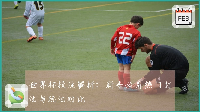 世界杯投注解析：新手必看热门打法与玩法对比
